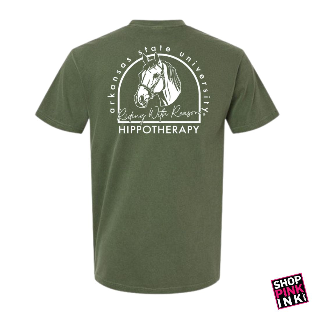 ASTATE Physical Therapy - Hippotherapy - 23596