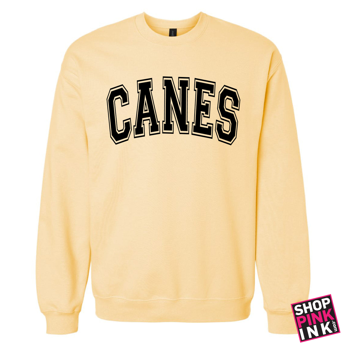 International Studies - CANES - Crewneck - 27130