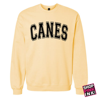 International Studies - CANES - Crewneck - 27130