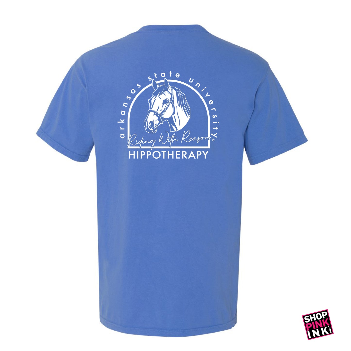 ASTATE Physical Therapy - Hippotherapy - 23596