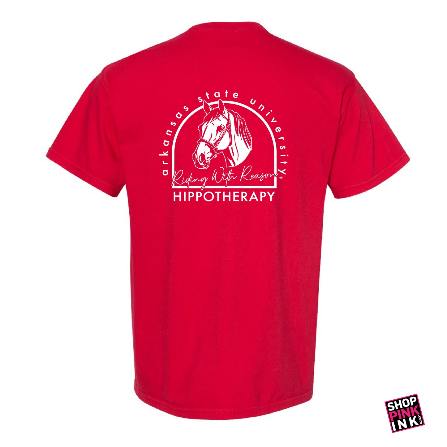 ASTATE Physical Therapy - Hippotherapy - 23596