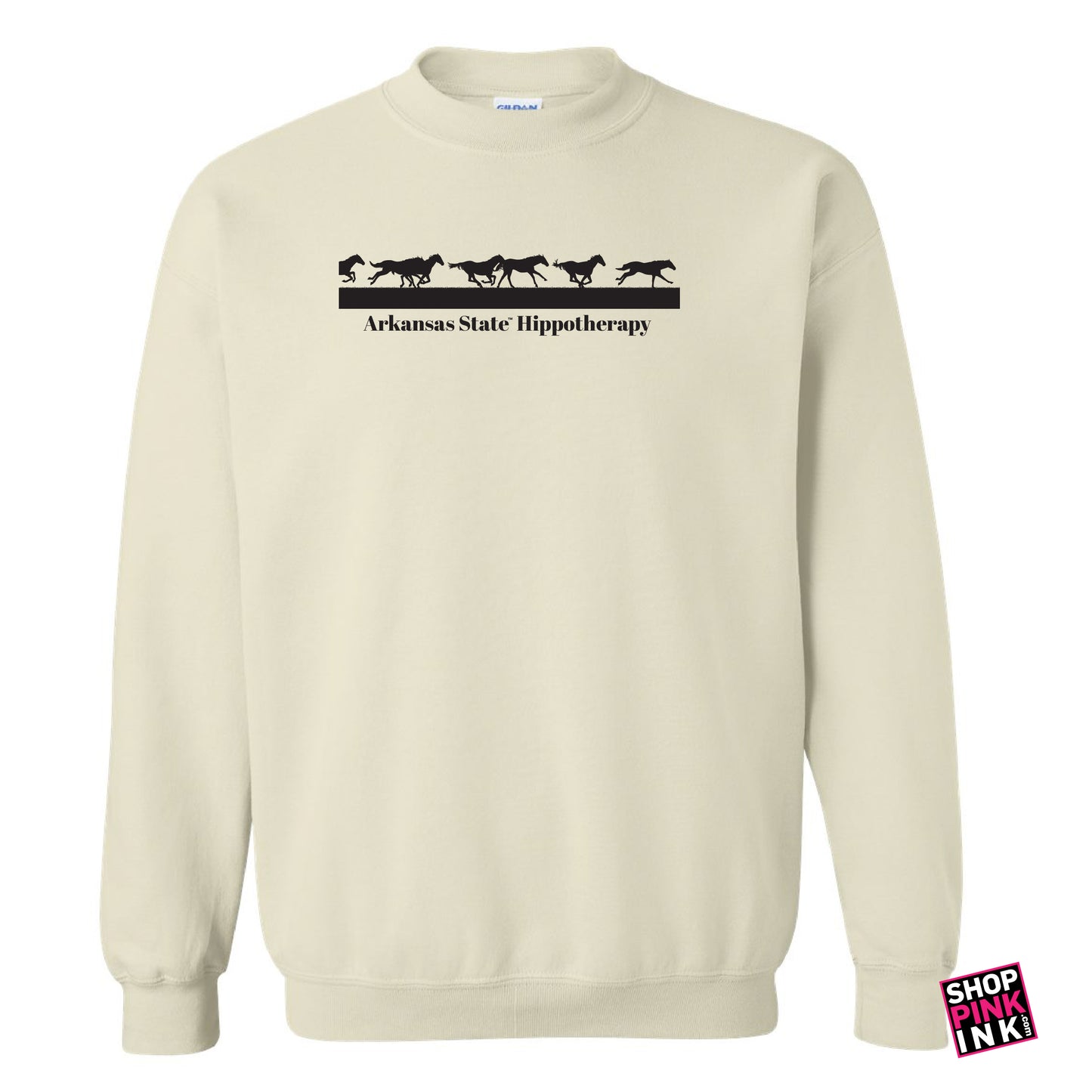 A-STATE Physical Therapy - Horses Running - 23595