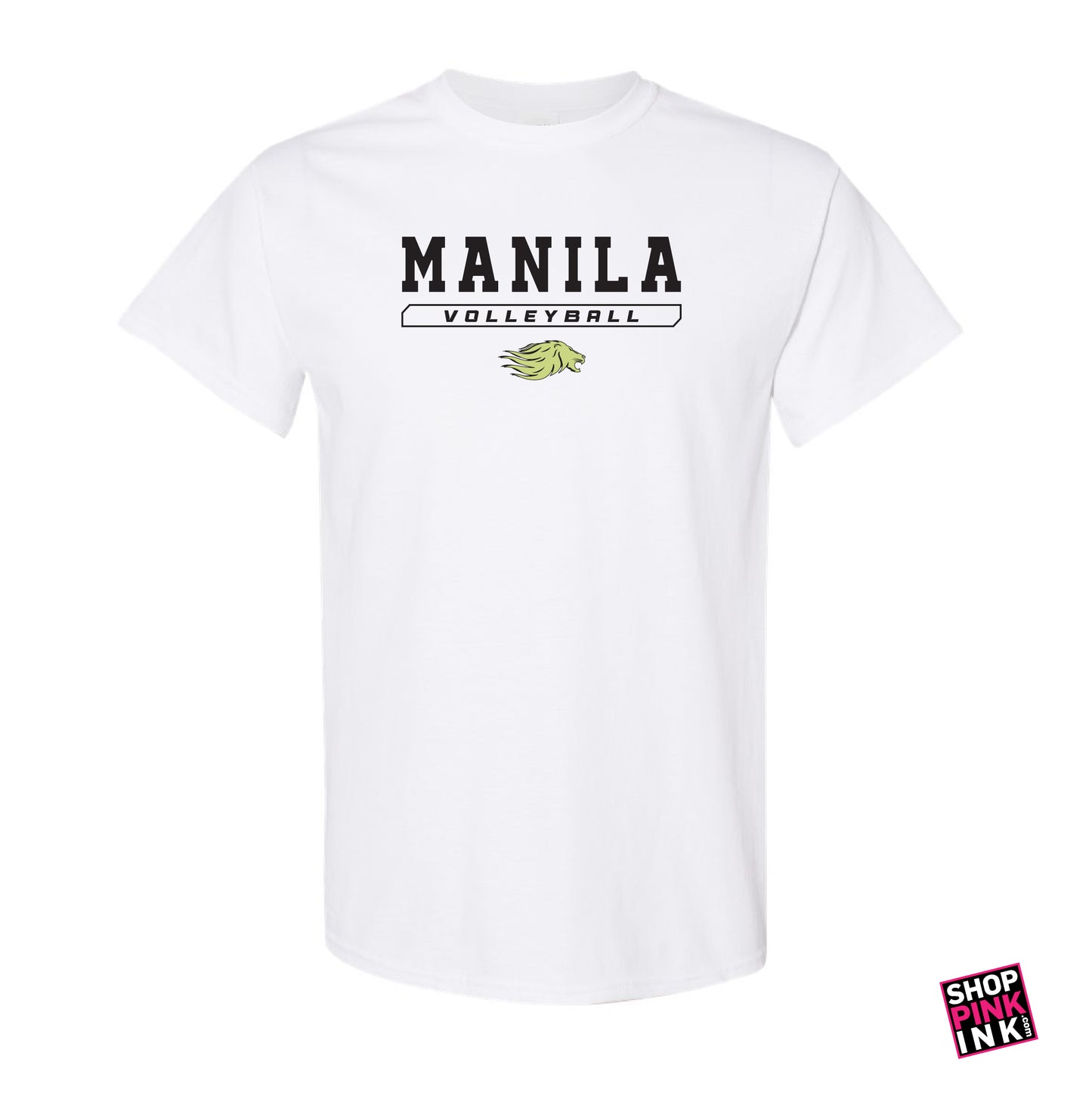 Manila Volleyball - 24252