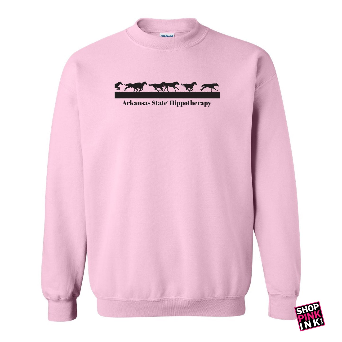 A-STATE Physical Therapy - Horses Running - 23595