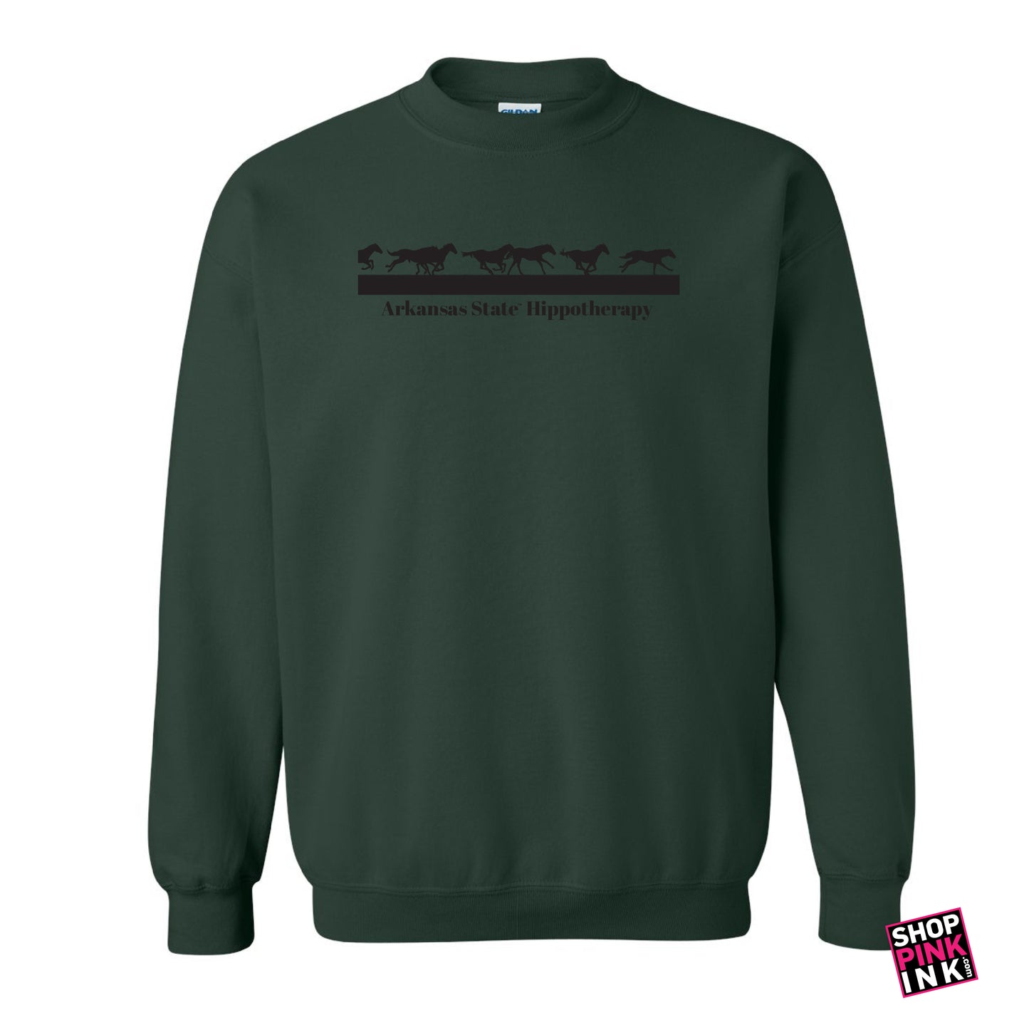 A-STATE Physical Therapy - Horses Running - 23595